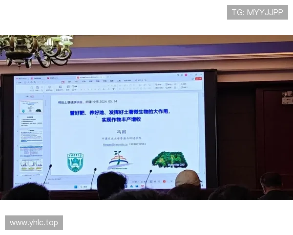 从企业家定义探讨创新精神与社会责任在现代经济发展中的核心作用